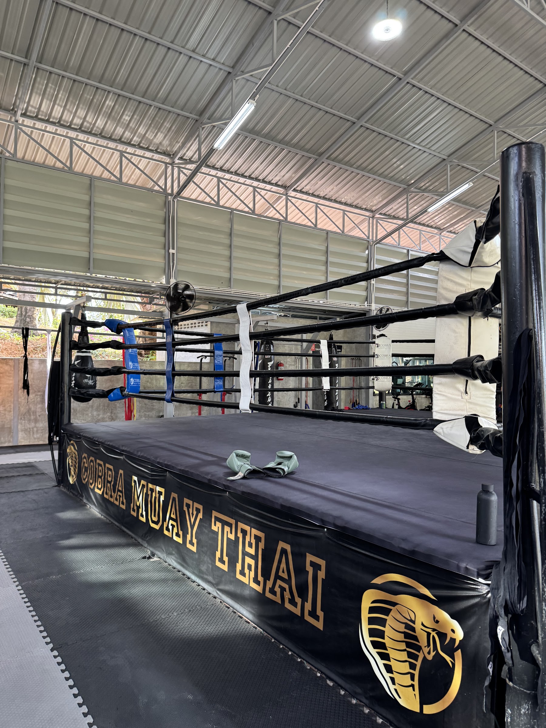Cobra Muay Thai ring detail