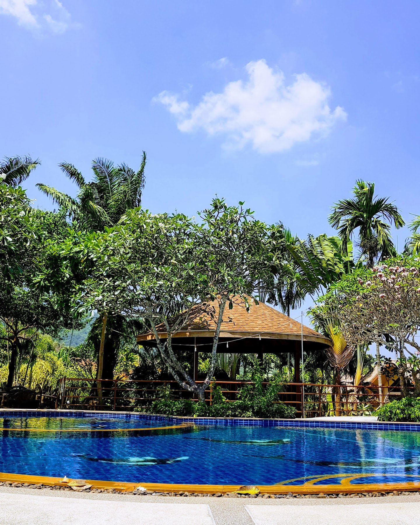 Pool recovery near Cobra Muay Thai Phuket